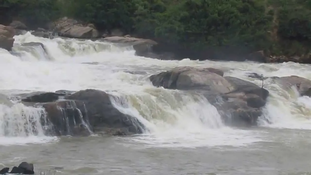 kaveri